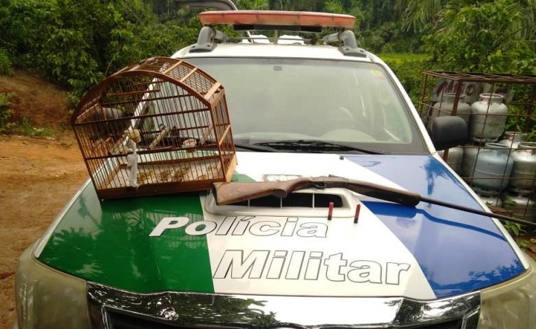 Espingarda e animal silvestre foram apreendidos pela Polícia Ambiental - Fonte: Reprodução
