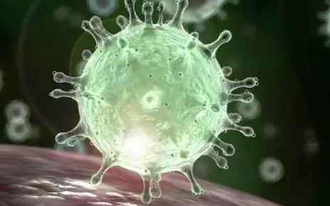 Sobe para 29 os casos confirmados de coronavírus no Espirito Santo - Foto Reprodução