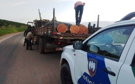 Polícia Ambiental apreende carregamento de madeira nativa em Marilândia-ES - Foto: Reprodução