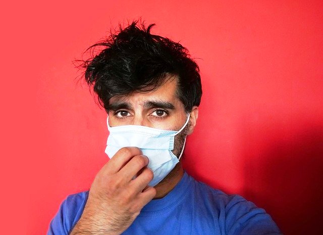 Imagem de PressFeatures por Pixabay