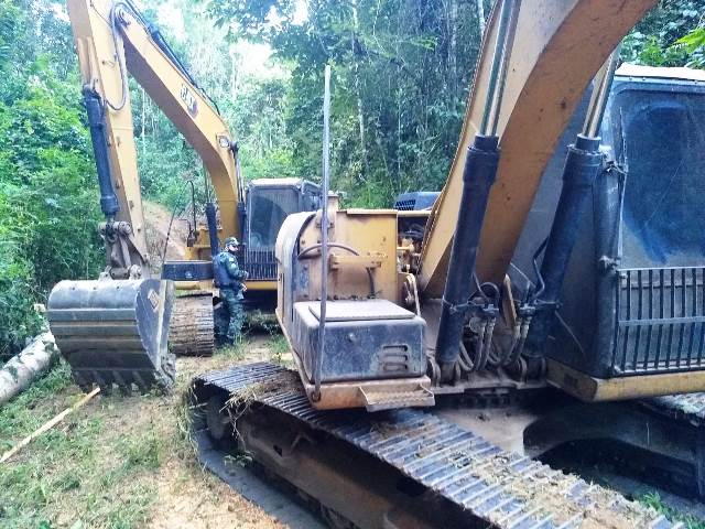 Foto - Reprodução - Policia Ambiental flagra desmate de 25 hectares com em Nova Venécia-ES