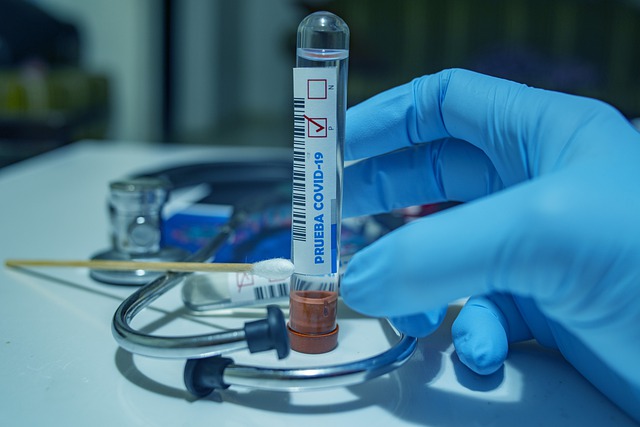 Imagem de fernando zhiminaicela por Pixabay