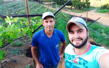 Cultura da uva aumenta renda de famílias em Governador Lindenberg - Foto: Incaper/Divulgação