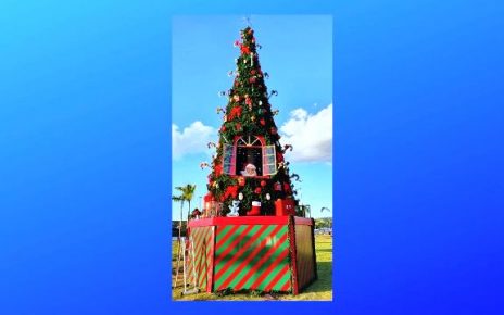 Árvore de Natal em Colatina celebra 20 anos - Foto Reprodução