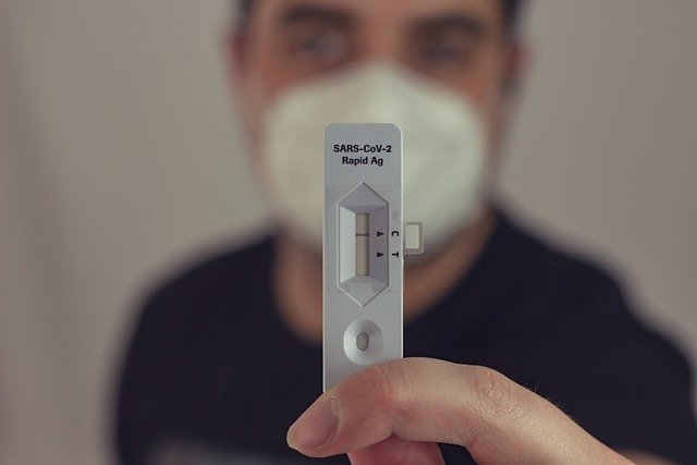 Imagem de Bastian Riccardi por Pixabay