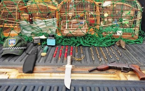 Polícia Ambiental apreende arma, munições em pássaros em Vila Valério - Foto: BPMA/Divulgação