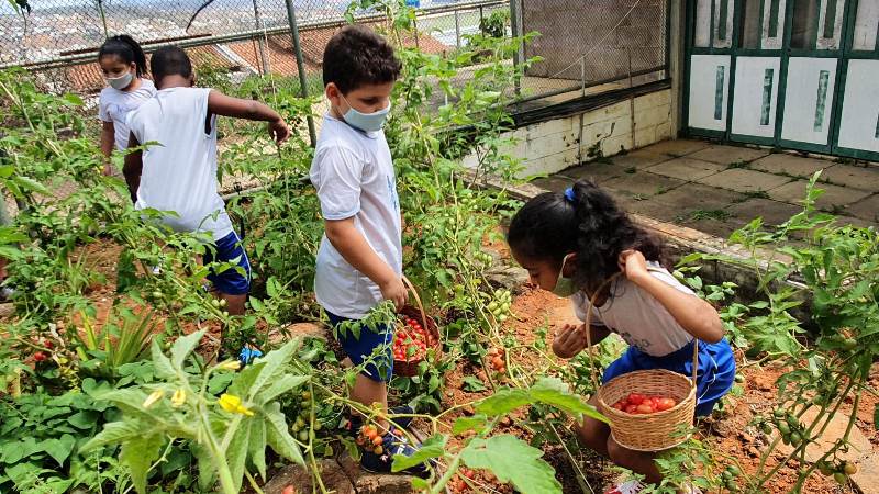 Projeto horta nas escolas da Rede Municipal de Ensino de Colatina - Foto: Comunicação PMC