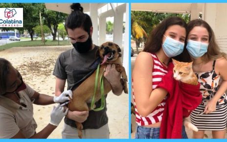 Mais de 6 mil cães e gatos são vacinados em Colatina no Dia D da vacinação antirrábica - Montagem - Colatina em Ação