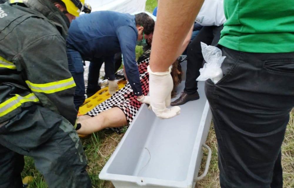 Avião de Marília Mendonça cai em Caratinga/MG; morte da cantora é confirmada - Foto: Reprodução