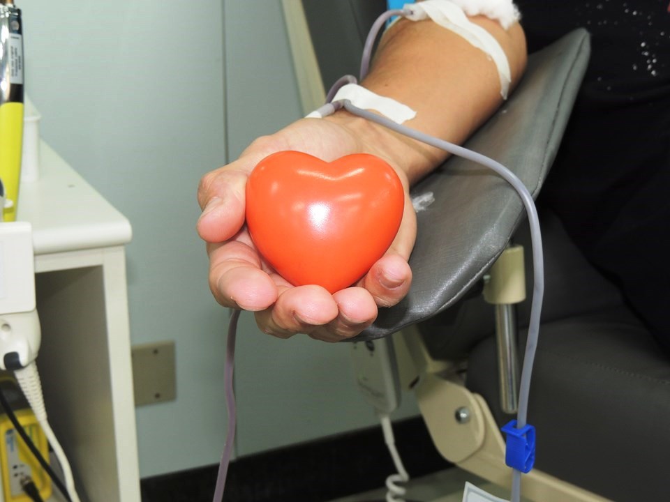 Período para doação de sangue após contaminação pela Covid-19 é reduzido para dez dias - Foto: Reprodução