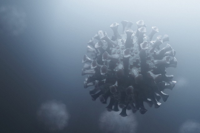 Covid-19: Colatina registra 1 óbito e 938 casos em 24 horas - Imagem de Samuel F. Johanns por Pixabay