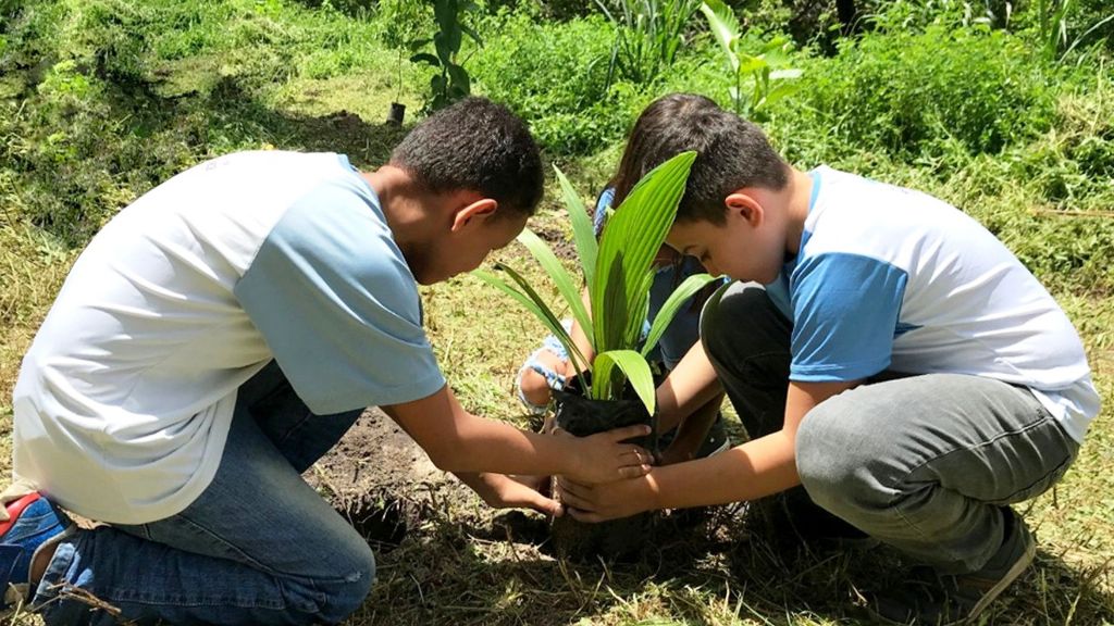 Semana do Meio Ambiente tem programação especial em Colatina – Foto: Reprodução