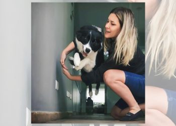 SOS Pet: Especialista em comportamento canino revela 3 dicas infalíveis para educar seu cão sem sair de casa - Foto: Reprodução