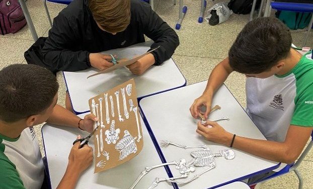 Escola de Colatina utiliza Jogos Cooperativos durante aulas de Educação Física - Foto: Sedu/ES