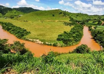 Saiba como estão as ações de reparação na bacia do rio Doce até o momento - Foto: Reprodução