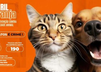 Colatina cria força-tarefa para o bem-estar animal