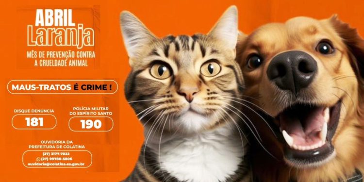 Colatina cria força-tarefa para o bem-estar animal