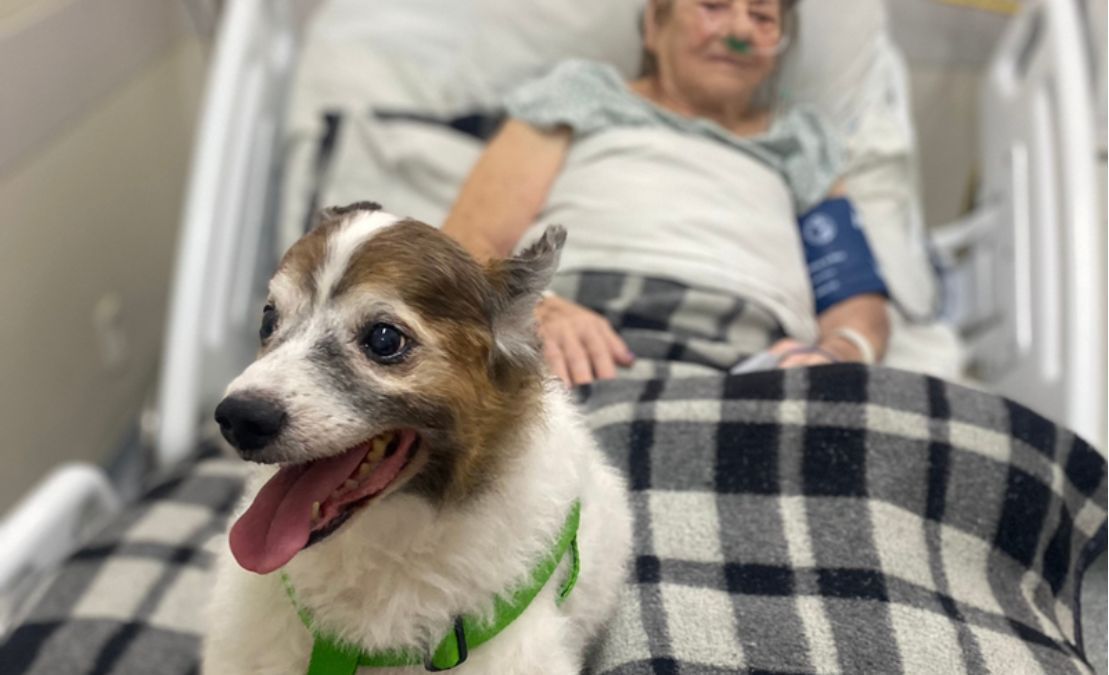 Primeira visita canina traz alegria e esperança a paciente do Hospital São Lucas - Foto: SESA