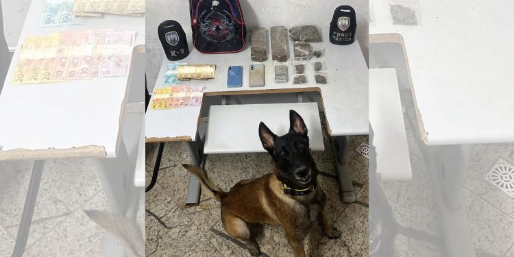 Trio é detido por tráfico de drogas em bairro de Baixo Guandu - Foto: PMES/Divulgação