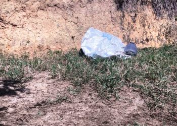 Adolescente confesso de assassinato de tia é encontrado morto a tiros em Água Doce do Norte - Foto: Reprodução