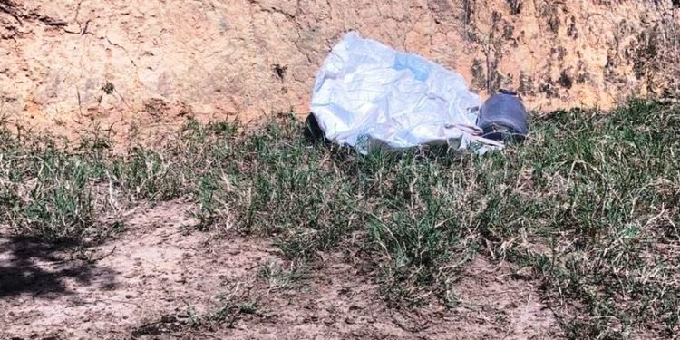 Adolescente confesso de assassinato de tia é encontrado morto a tiros em Água Doce do Norte - Foto: Reprodução