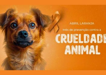 Colatina realiza dia D do combate à crueldade animal - Foto: Reprodução