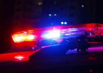 Colatina: corpo carbonizado é achado em mata às margens da BR-259 - Foto: Reprodução