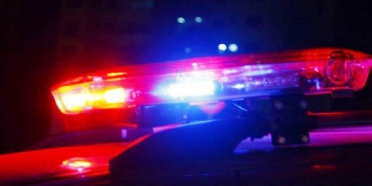 Colatina: corpo carbonizado é achado em mata às margens da BR-259 - Foto: Reprodução