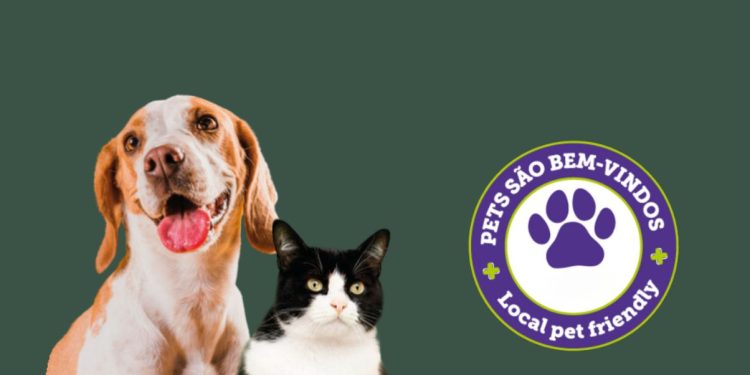 Prefeitura de Colatina é a primeira Pet Friendly do ES - Foto: Reprodução