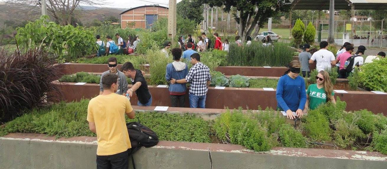 Falecimento do Professor Marinaldo deixa legado de inclusão e paixão pela natureza - Foto: Reprodução