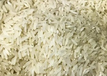 Associações dizem que estoque de arroz para o Brasil está garantido - Foto: Marcello Casal Júnior/Agência Brasil