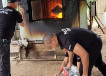 Colatina incinera 100 Kg de drogas apreendidas em operação conjunta - Foto: PCES/Divulgação