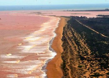 Tragédia de Mariana: justiça determina pagamento de indenização a pescadores do ES - Foto: Paulo Araújo - Ministério do Meio Ambiente