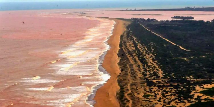 Tragédia de Mariana: justiça determina pagamento de indenização a pescadores do ES - Foto: Paulo Araújo - Ministério do Meio Ambiente