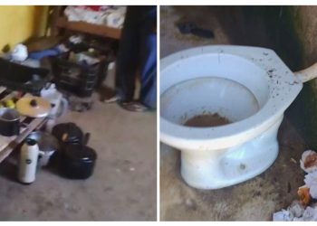 Trabalhadores resgatados em condições análogas à escravidão em fazenda de café em Pancas - Foto: MTE/Divulgação