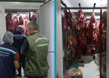Mais de uma tonelada de carne imprópria é apreendida em Baixo Guandu: PCES deflagra operação e prende suspeito - Foto> PCES/Divulgação