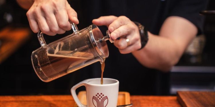 Instituto Terrafé lança cursos para capixabas aprenderem profissão no mercado de cafés - Foto: Divulgação