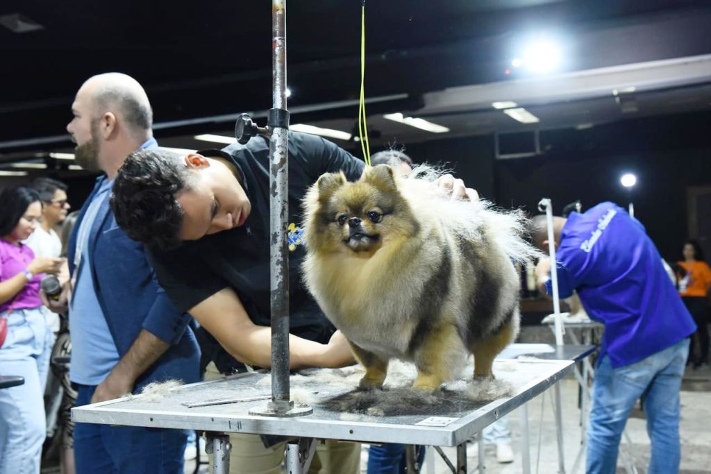 Pet Fair ES 2024: a maior Feira Pet e Vet do ES com programação imperdível - Foto: Divulgação