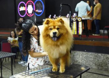 Pet Fair ES 2024: a maior Feira Pet e Vet do ES com programação imperdível - Foto: Divulgação