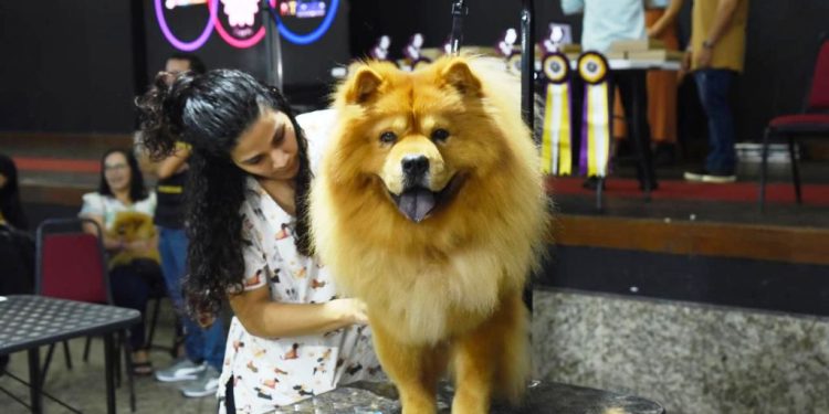 Pet Fair ES 2024: a maior Feira Pet e Vet do ES com programação imperdível - Foto: Divulgação