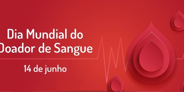 Doar sangue engorda ou emagrece? Conheça mitos e verdades sobre a doação de sangue