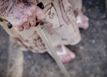 Ortopedistas alertam para risco de queda de idosos; saiba como evitar - Foto: Rafa Neddermeer/Agência Brasil