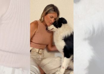 Pets precisam de cuidados especiais com queda das temperaturas - Foto: Reprodução