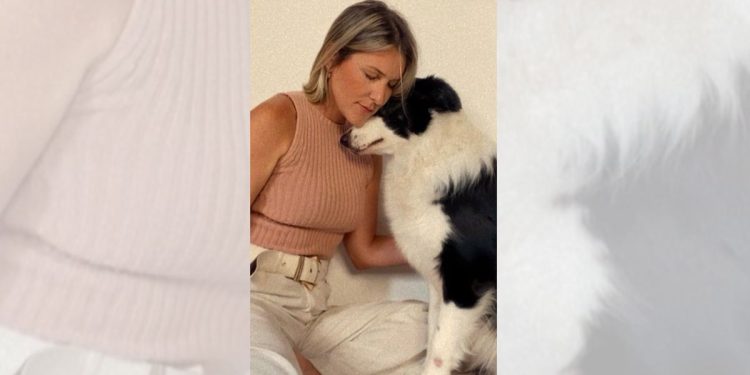 Pets precisam de cuidados especiais com queda das temperaturas - Foto: Reprodução