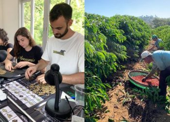 Ifes Itapina compartilha técnicas que aumentam colheita e garantem qualidade do café a produtores de Colatina - Foto: Ifes Campus Itapina