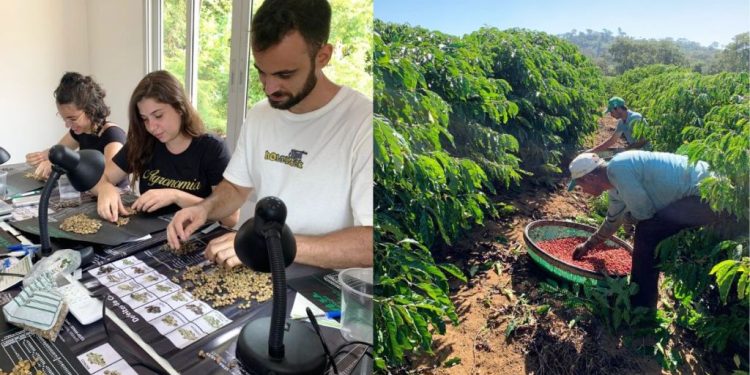 Ifes Itapina compartilha técnicas que aumentam colheita e garantem qualidade do café a produtores de Colatina - Foto: Ifes Campus Itapina