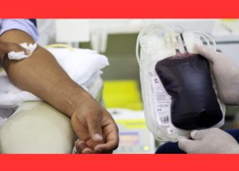 Doação de sangue: mitos e verdades para salvar vidas com segurança - Foto: Rodrigo Nunes/MS