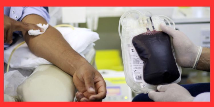 Doação de sangue: mitos e verdades para salvar vidas com segurança - Foto: Rodrigo Nunes/MS