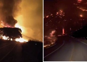 Incêndio de grandes proporções devasta vegetação na região Noroeste do ES - Foto: Rede Social