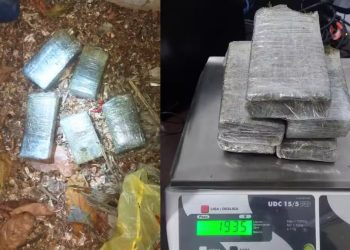 Galinhas "denunciam" esconderijo de drogas em Linhares - Foto: PMES